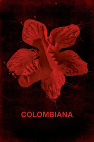 Colombiana (2011)