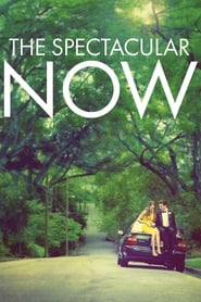 The Spectacular Now (2013)